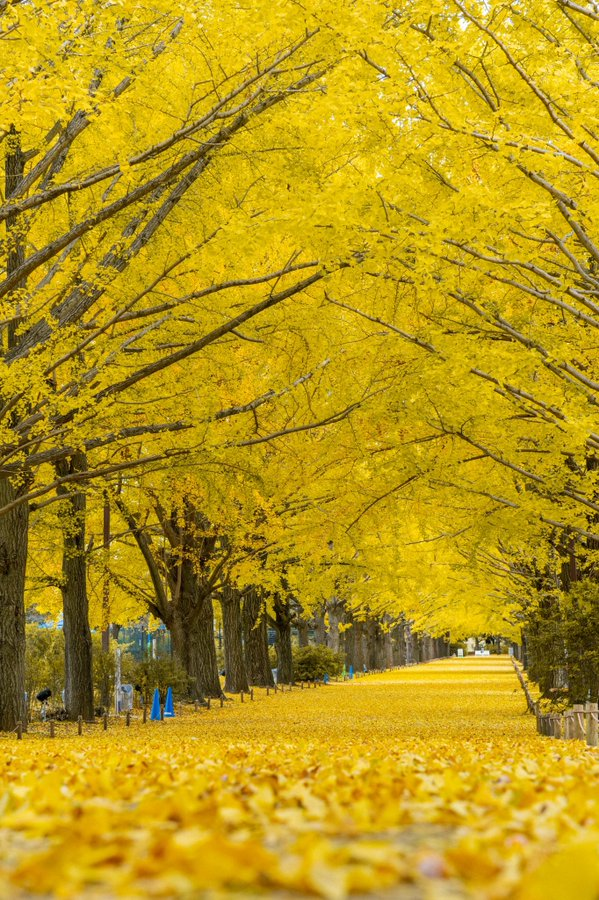 september (@bitcoinsep) on Twitter photo 