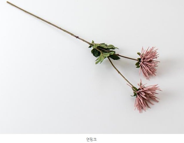 조화였던걸로 ㅋㅋㅋㅋㅋㅋ