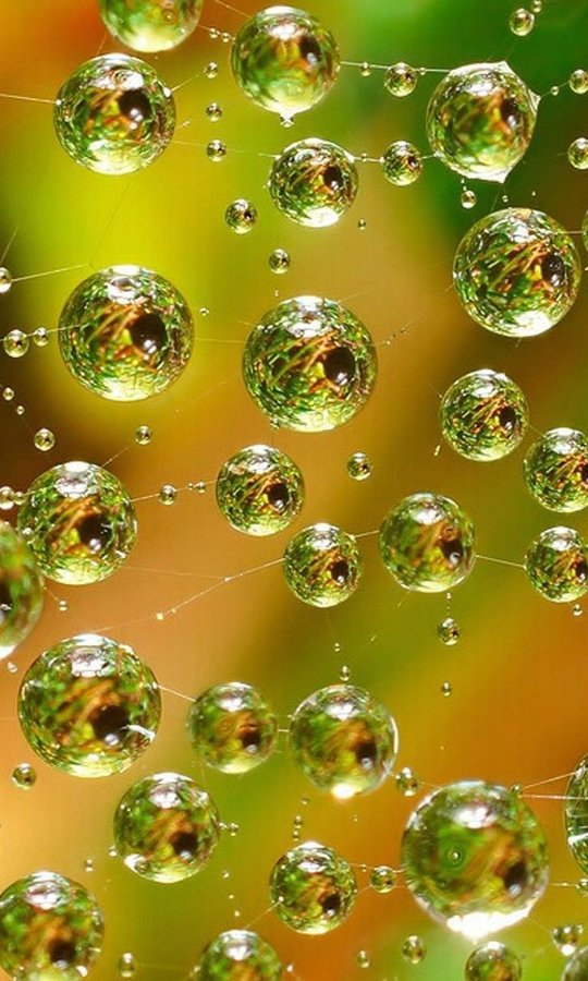 september (@bitcoinsep) on Twitter photo 