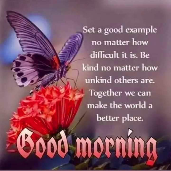 Abdurrahman Umar Palladan (@palladan_umar) on Twitter photo 