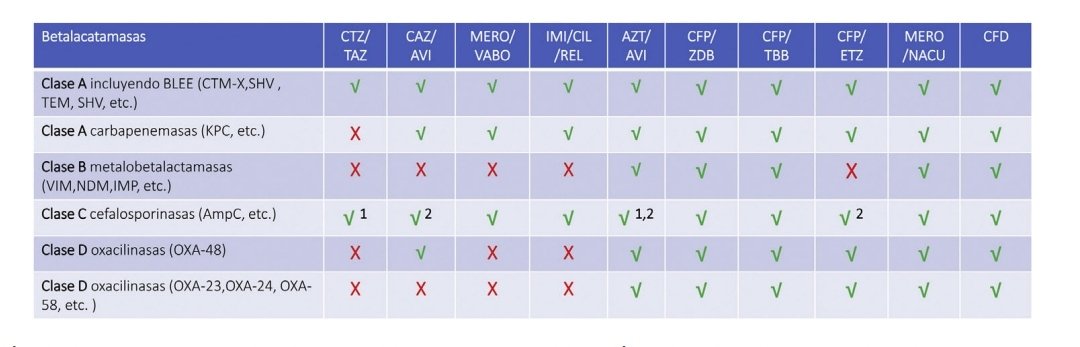 🔍 Extraído del nuevo artículo <a href="/semicyuc/">SEMICYUC</a> "Antibióticos en desarrollo para BGN multirresistentes"

📋Tabla con el espectro de:
CTZ/TAZ
CAZ/AVI
MERO/VABO
IMI/CIL/REL
AZT/AVI
CFP/ZDB
CFP/TBB
MERO/NACU
CFD