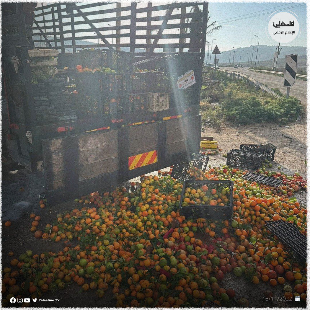 Timesofgaza's tweet photo. lsraeli settlers assault a Palestinian man  near Tulkarem and burn his truck, causing him substantial losses. https://t.co/BMyyAnI41k