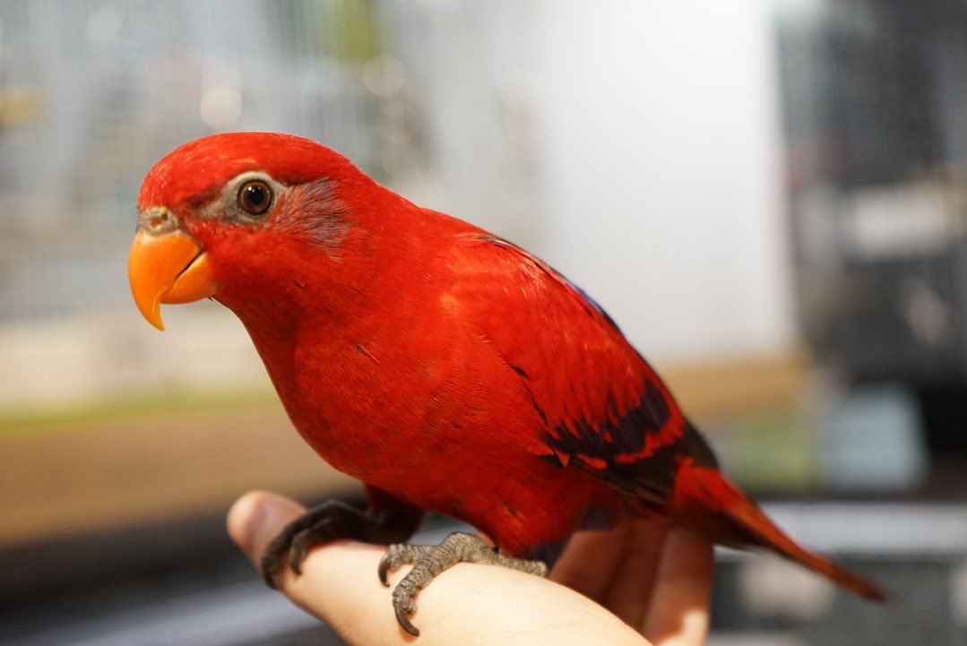 Tbzge9rjy6m8bm Tbzge9rjy6m8bm