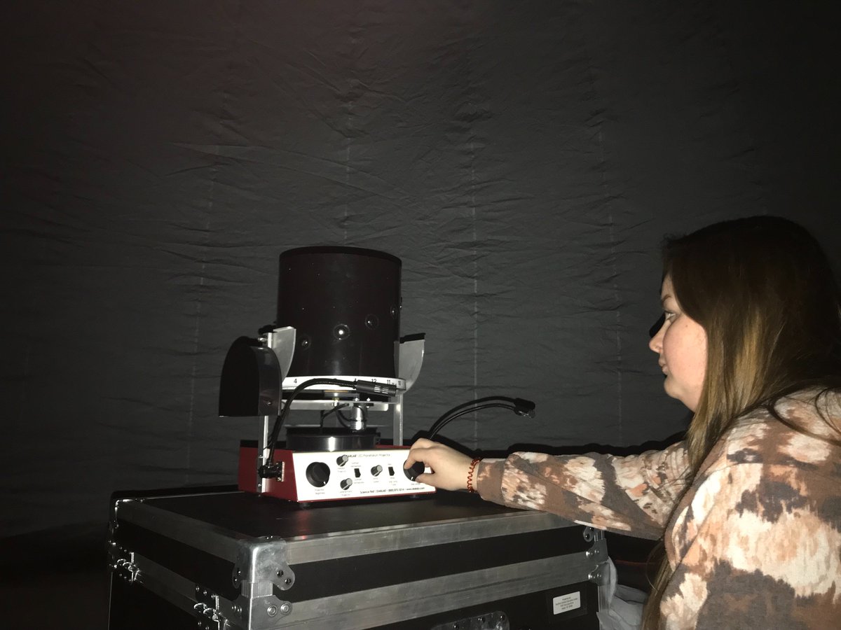 Pam O'Risky tweet media