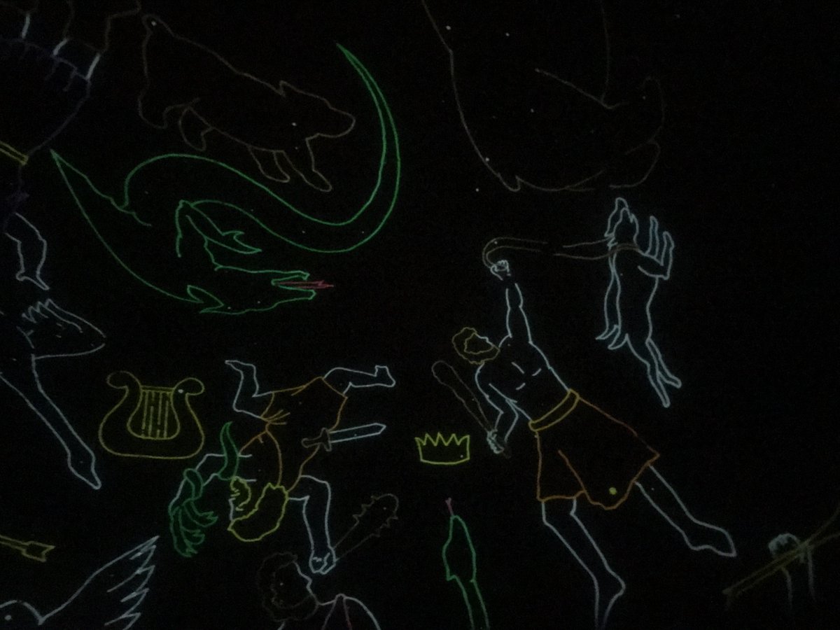 Pam O'Risky tweet media