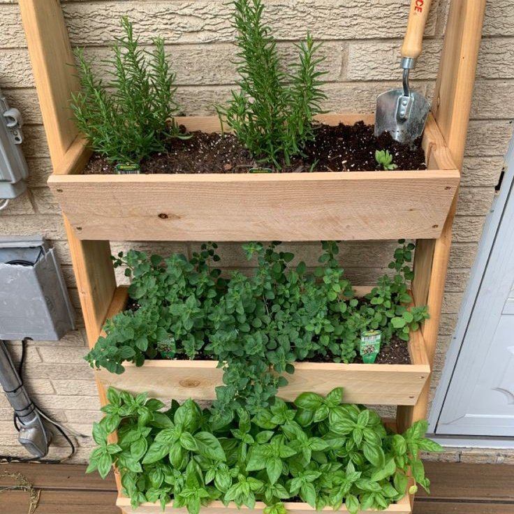 ccstraction's tweet image. ⠀⠀𓐍  ﾟ   ̤   5 tips para empezar tu huerto en casa: