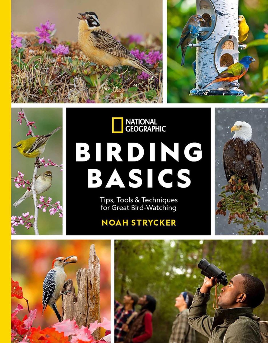 JeremyBlack13's tweet photo. I’m truly honored to have my photography featured in a @NatGeo publication! This publication is officially available for purchase as of today! #yellowcardinal #natgeo https://t.co/HcrtyEedVB