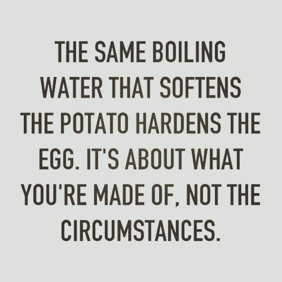 zeitgeistjay's tweet image. Omsim