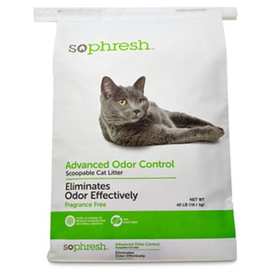 🇵🇸 la rompe agujas 🪡 tweet media