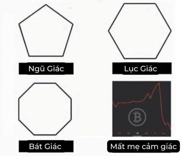 danhcapmeme's tweet photo. Chạm đáy nỗi đau 🤕🩼

#Memes #BTC #Bitcoin #cryptocrash https://t.co/RdomabFw40