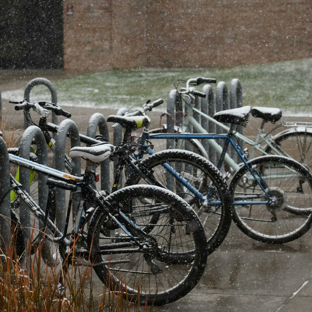 CMLIFE's tweet photo. GALLERY: Students walk across campus as snow falls, Tuesday, Nov. 15, outside of the Biosciences Building. 
📸: Jo Kenoshmeg

View the full gallery here: https://t.co/UcCyxrNq0u https://t.co/LB08tqV5Ov