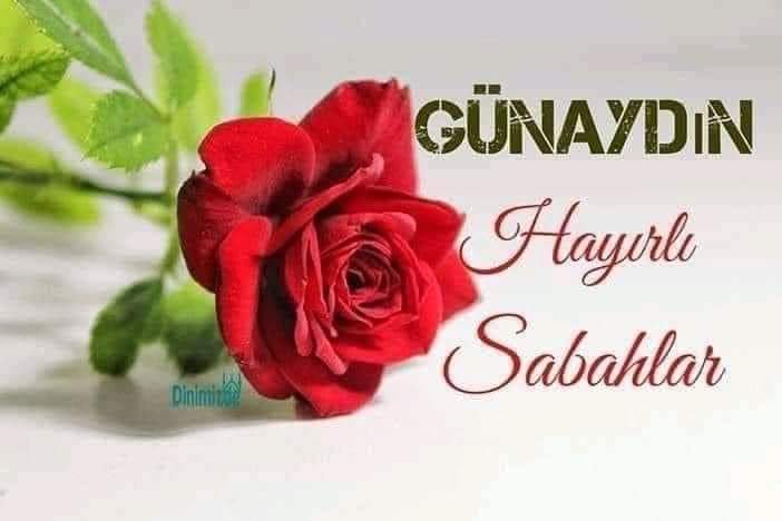 Herkese günaydın hayırlı sabahlar hayırlı işler bol kazançlar diliyorum..