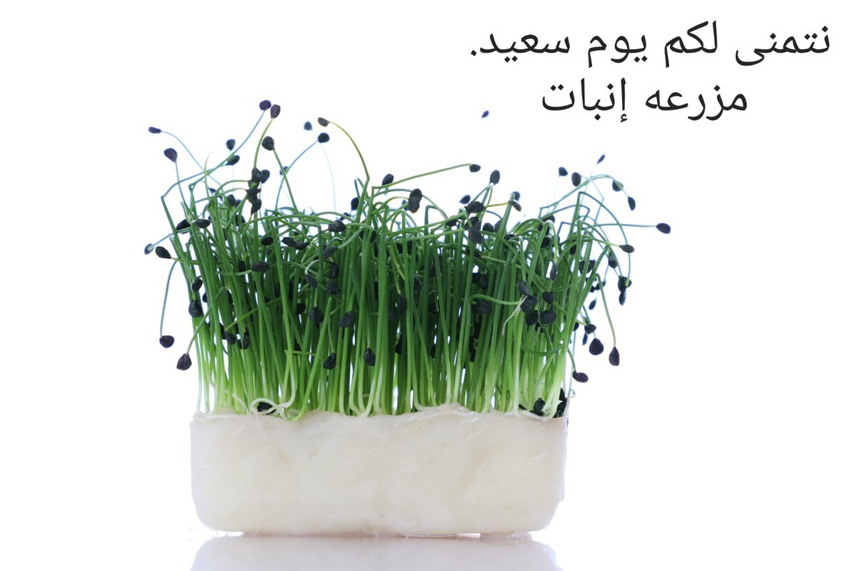 Inbat_farm's tweet image. 