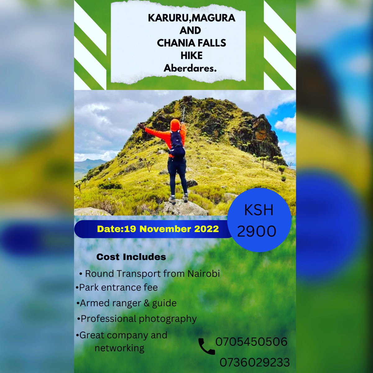 rentedabs tweet media