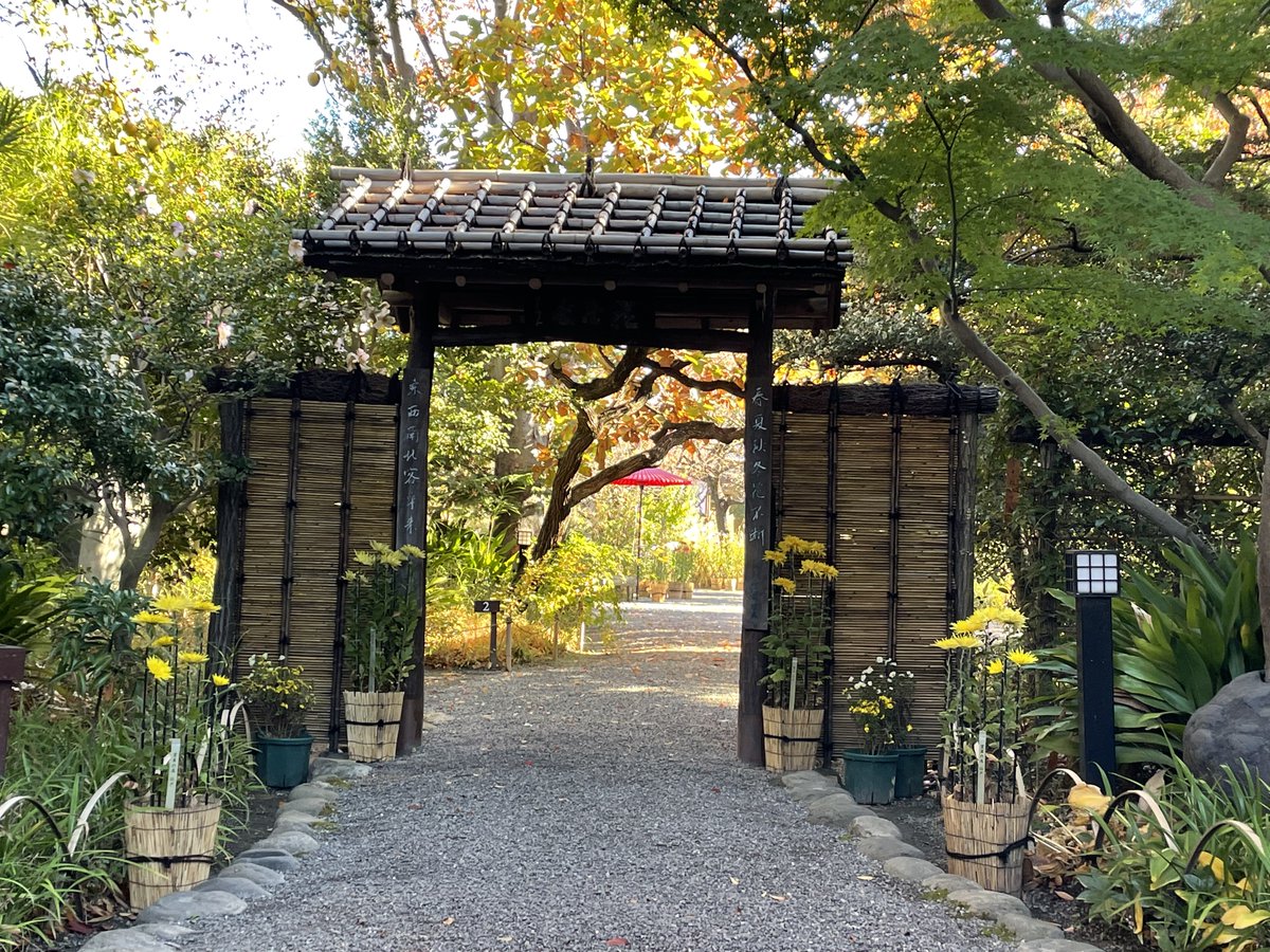 向島百花園 の本日 11月16日 開園前の入口の紅葉状況です 入口の紅葉が少し色づき始めたのが ご覧いただけますでしょうか ゆっくりですが 遅めの 紅葉が少しずつ進んでいます 古典菊の展示も23日までですので 百花園 の秋をお楽しみください 東向島徒歩8分