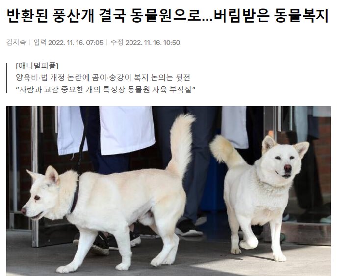 sjrnfjenny's tweet photo. 구수 시발새끼 지도 개키우면서 하 시발새끼 진짜 https://t.co/uCTBuDHake