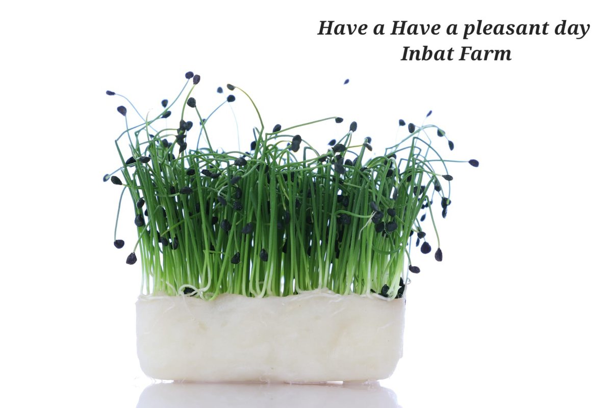 Inbat_farm's tweet image. 