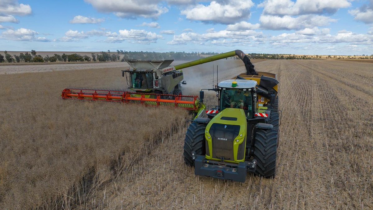 Freddie Gittus tweet media