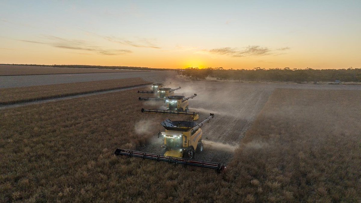 Freddie Gittus tweet media