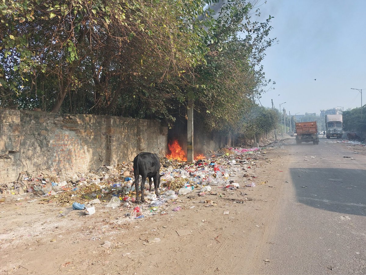 Instance of open fires at MSW dumping sites at road stretch between Badli and Rohini sector 18. 

28.7370965, 77.1421203

<a href="/dcrohinizone/">Deputy Commissioner, Rohini Zone, MCD</a> <a href="/AAPAjeshYadav/">Ajesh Yadav</a> <a href="/DPCC_pollution/">Delhi Pollution Control Committee</a>