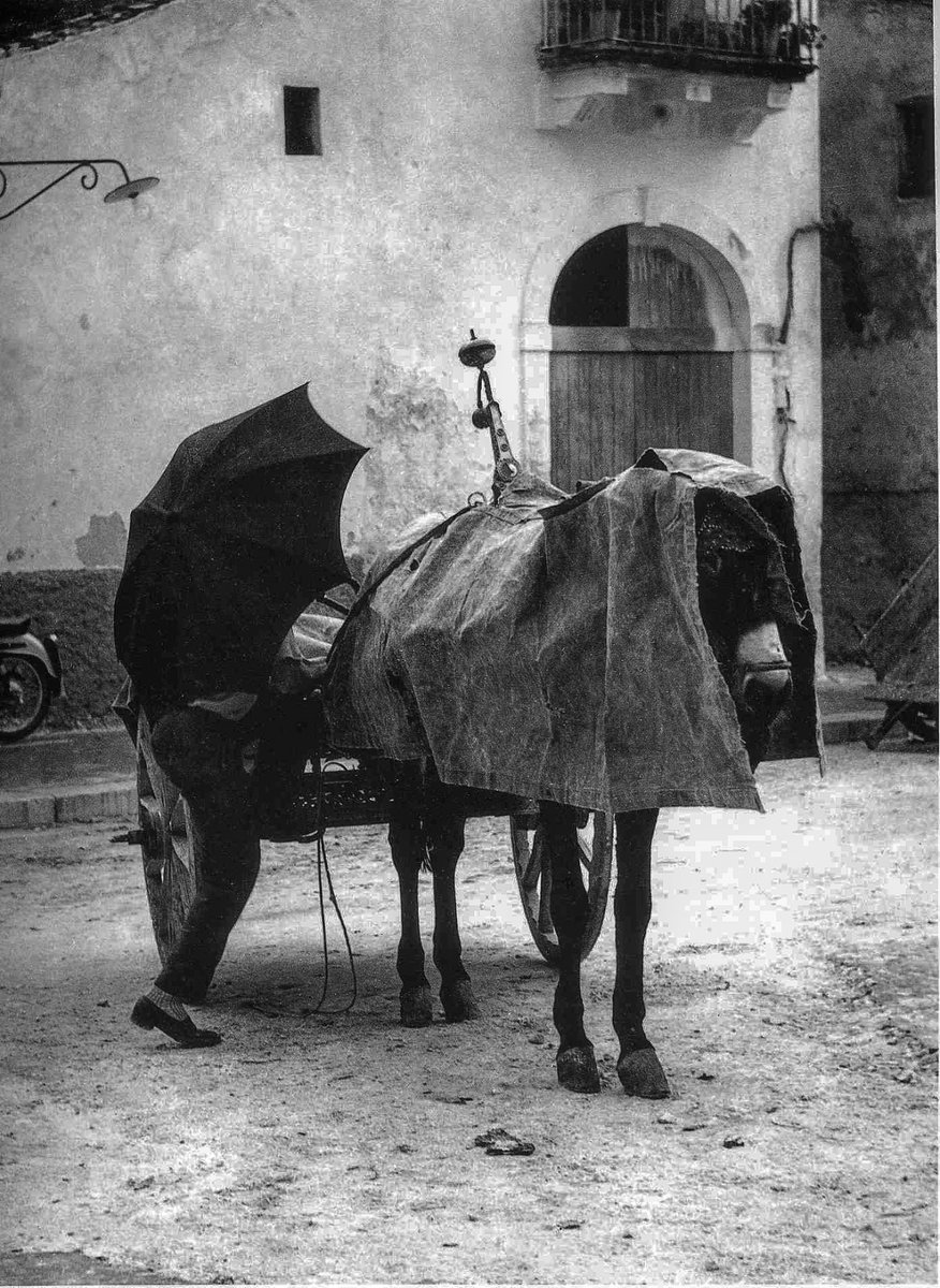 velocevolo's tweet photo. O piove o fiocca sempre a noi tocca...
Annamo, va! 

(dalle mie parti si dice così 😉) 

📷Enzo Sellerio - Palermo 1960 https://t.co/LqZUoOBQPu