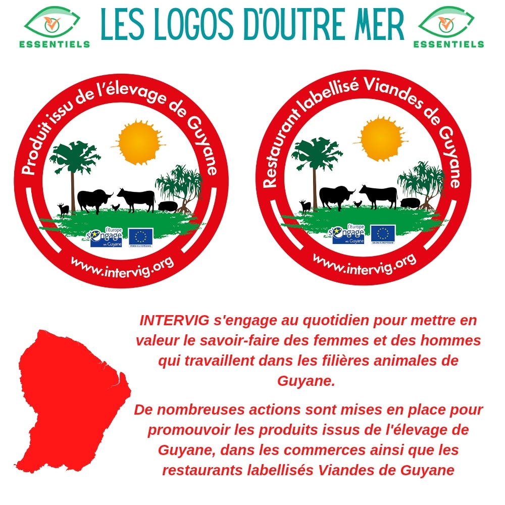 Cap sur le continent Sud Américain pour découvrir les labels proposés par INTERVIG pour valoriser l'élevage local et la viande guyanaise. Avec une très belle initiative pour les restaurants.

 <a href="/Prefet973/">Préfet de la région Guyane 🇫🇷🇪🇺</a> @lesoutremer <a href="/Agri_Gouv/">Ministère Agriculture et Souveraineté alimentaire</a> <a href="/CTdeGuyane/">CTGuyane</a>