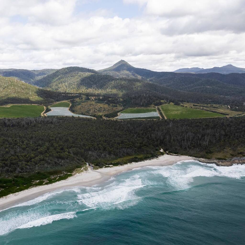 From Instagram: instagr.am/p/ClAmBzFLSEH/
 
#TassieWine
 
Making wine on a little island at the bottom of the world comes paired with a plentiful serving of challenges. It also comes with many a reward for those up for the task – the wine and the views are two of them. 📸 Iron…