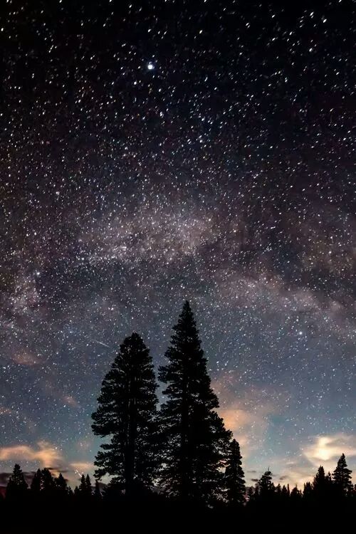 astrogato2's tweet photo. Que pasen una linda noche gente https://t.co/55aLBJF7Sx