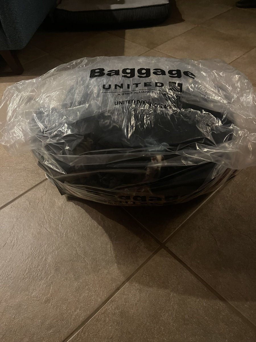 Bailey Berg tweet media