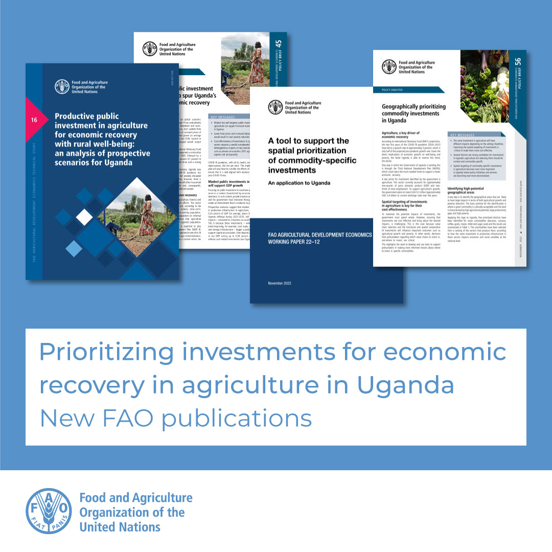 Looking forward to presenting today new policymaking findings from <a href="/FAO/">Food and Agriculture Organization</a>’s Agrifood Economics on agrifood sectors in 🇺🇬 where ag investment has highest socioeconomic impact📈,📍the districts with most potential, and the investment needed🪙, plus new tool to #RepurposeAgSupport!