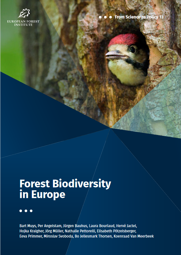 Today is #BiodiversityDay at #COP27 -- for anyone interested in #forest #biodiversity in #Europe, head over to our website to read our recent report on the topic! doi.org/10.36333/fs13