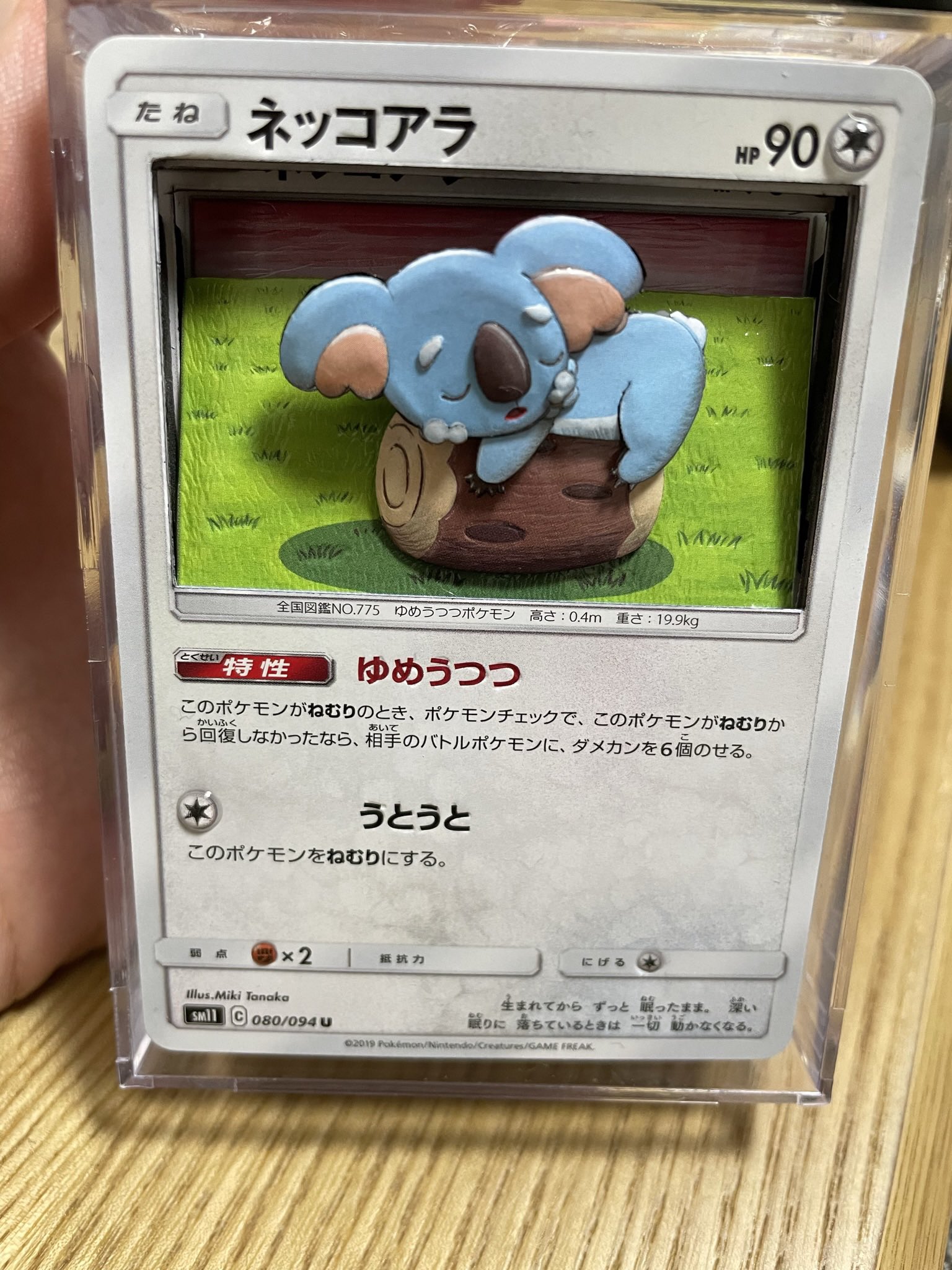 ネッコアラ Twitter Search Twitter