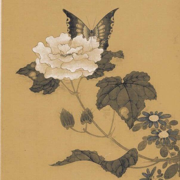 RemSteph13's tweet image. #NouvellePhotoDeProfil