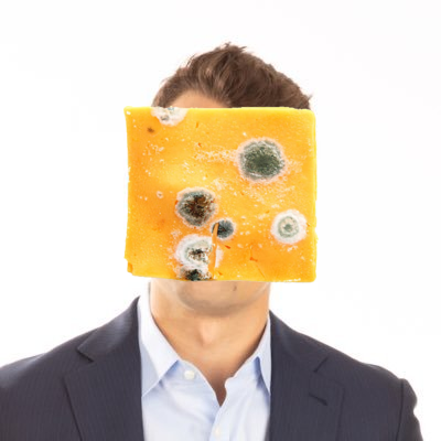 tweetsnotreal's tweet photo. @charliekirk11 #BrieBest ๐ง @charliekirk11
Cheeze is an Extreme Spore
hat-tip @dannotdaniel https://t.co/aqnLShLu0y