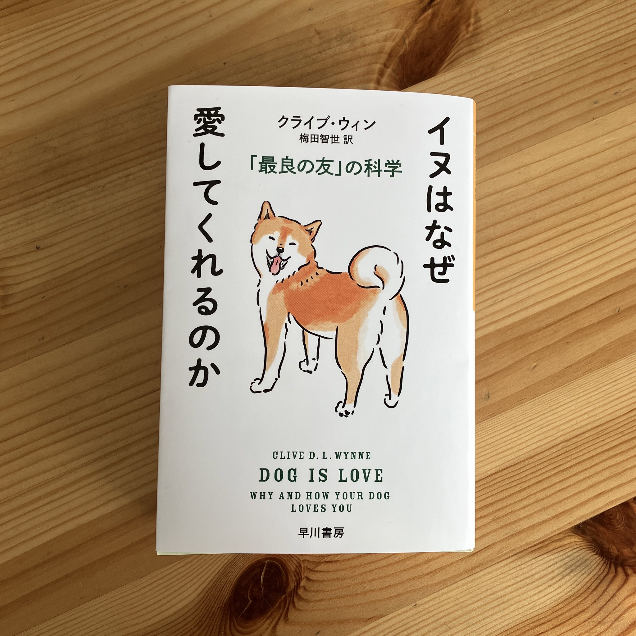Omami 犬専門イラストレーター Omami 9 Twitter