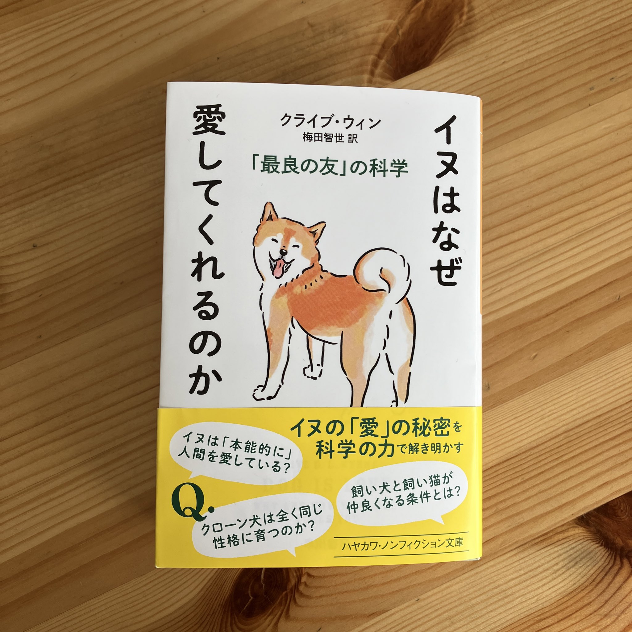 Omami 犬専門イラストレーター Omami 9 Twitter