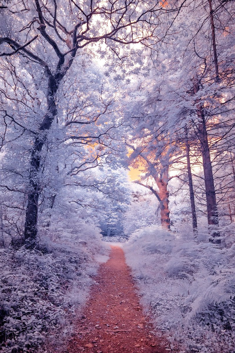 #nature