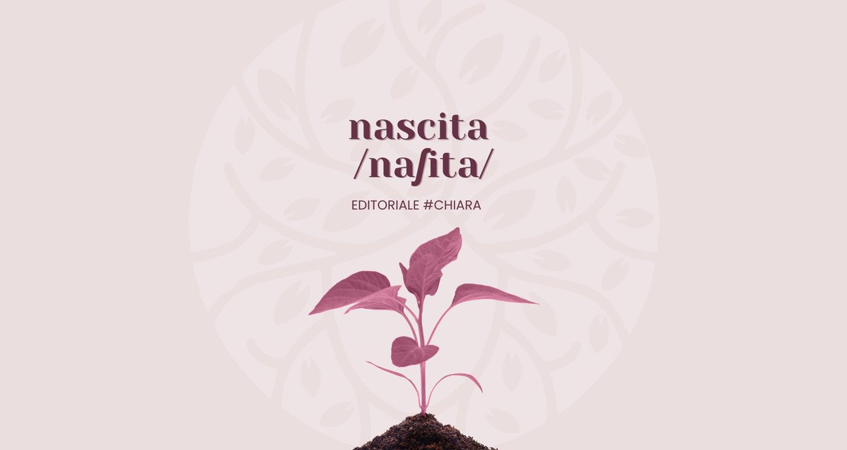 #Chiara n.18 | Nascita - mailchi.mp/pianoc.it/chia…