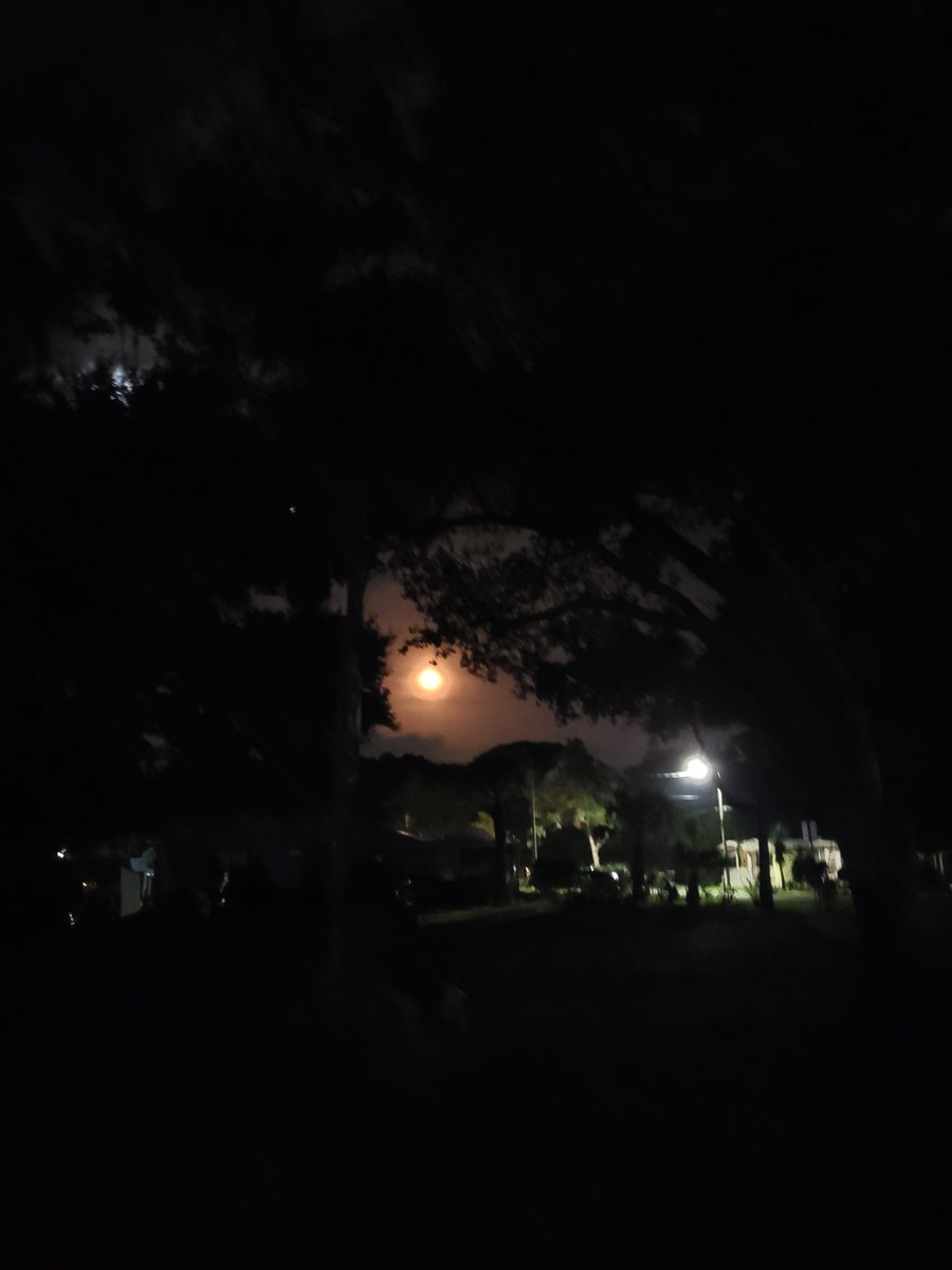 PrincessDragina's tweet photo. To the moon! #NASA #Artemis1 https://t.co/fBF9LQSTKE