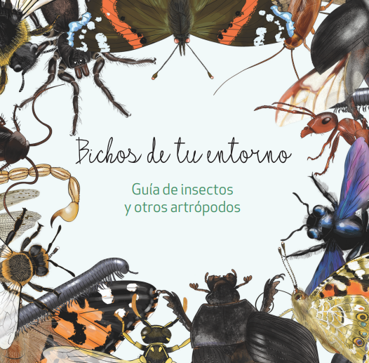 leeres's tweet photo. Descárgate la guía «Bichos de tu entorno» del @CSIC. Con esta guía podrás reconocer los insectos y otros artrópodos que viven cerca de ti. Para todos los públicos a partir de 8 años. https://t.co/mcKp9SVxH6 https://t.co/Prtgv27reM
