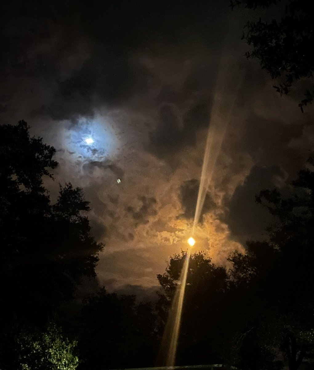 MattSims3's tweet image. Pretty cool to see!
@NASA 
#artemis #Artemis1 #ArtemisI #nasa