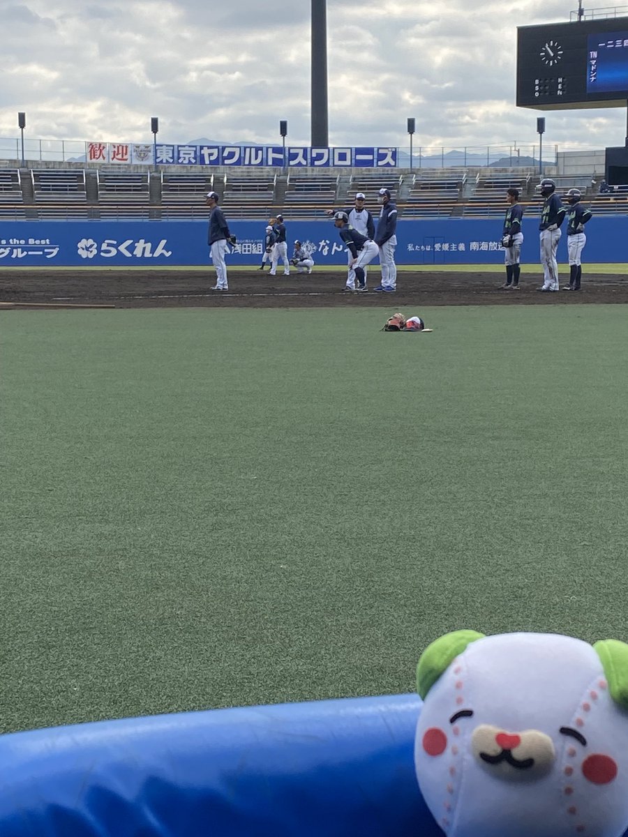 shikimaru_ehime's tweet photo. 東京ヤクルトスワローズ！松山で20日まで秋季キャンプまる⚾️19・20日は松山限定グッズを販売まる❗️つば九郎にも会えるまる⁉️
https://t.co/yyQlKUWXw1

＃東京ヤクルトスワローズ　　＃ヤクルト　＃松山秋季キャンプ　#つば九郎　＃野球 https://t.co/QoLbfZa9jl