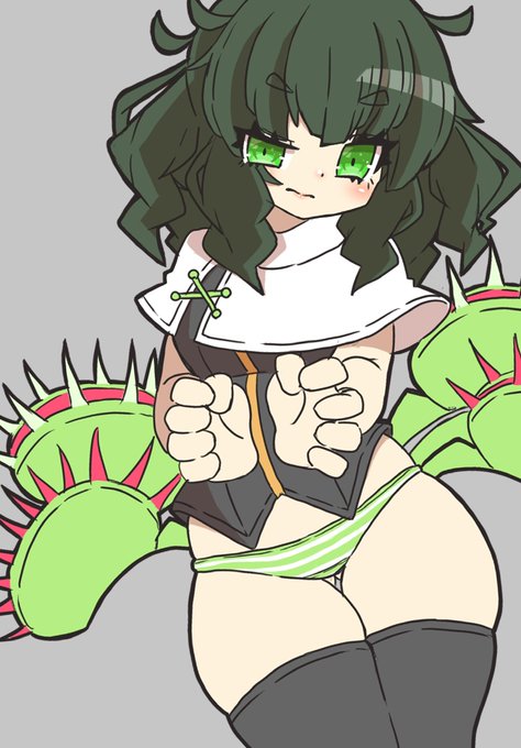 ちなみにハエトリさんこんな感じ 