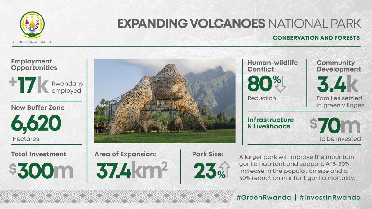 To secure the future of mountain gorillas, Rwanda is expanding <a href="/VolcanoesPark/">Volcanoes Park</a>. This will benefit:
 
🌿 Iconic species
🌿 Communities around the park
🌿 Visitors

On Biodiversity day at #COP27, learn more at visitrwanda.com/gorillas 

#GreenRwanda 🇷🇼🌿 | #InvestInRwanda