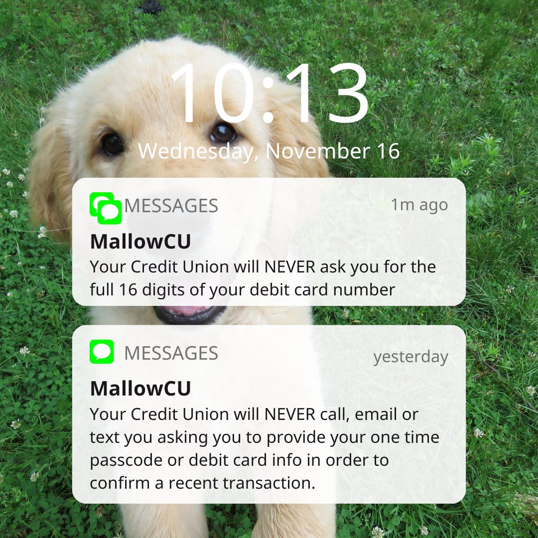 It's Fraud Awareness Week and we want to remind everyone to stay vigilant against fraud attempts and online scams.  If you have our MYCU debit card, you'll receive some texts messages this week, with useful tips and reminders to stay safe when shopping online.