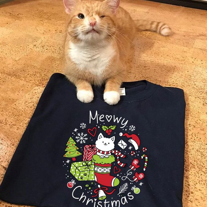 CarlodeBlasio1's tweet photo. Non è in piena forma e gli auguri gatteschi ("meowy") vuole porgerli già da oggi. #CatKindness https://t.co/RUZbQXDO0J