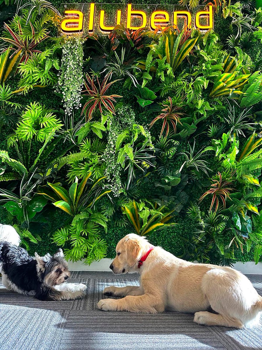 It's Puppy Therapy at Alubend UK 

Mental health and wellbeing are at the forefront of our growth and our latest additions to the roster are especially adorable.

Read more about this and our other mental health focused practices on our website.

alubend.com/2022/11/16/men…