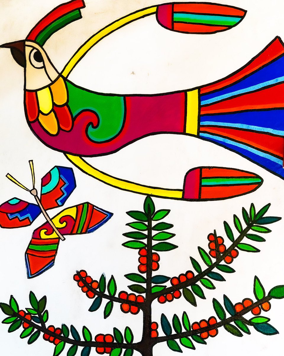 El Salvador may be the smallest country in Central but it still has several growing regions; this photo was taken in the Chalatenango area and is part of a mural. We love the simple ‘folk art’ style.

Hit the link in bio to learn more about the small (but mighty) El Salvador ✊