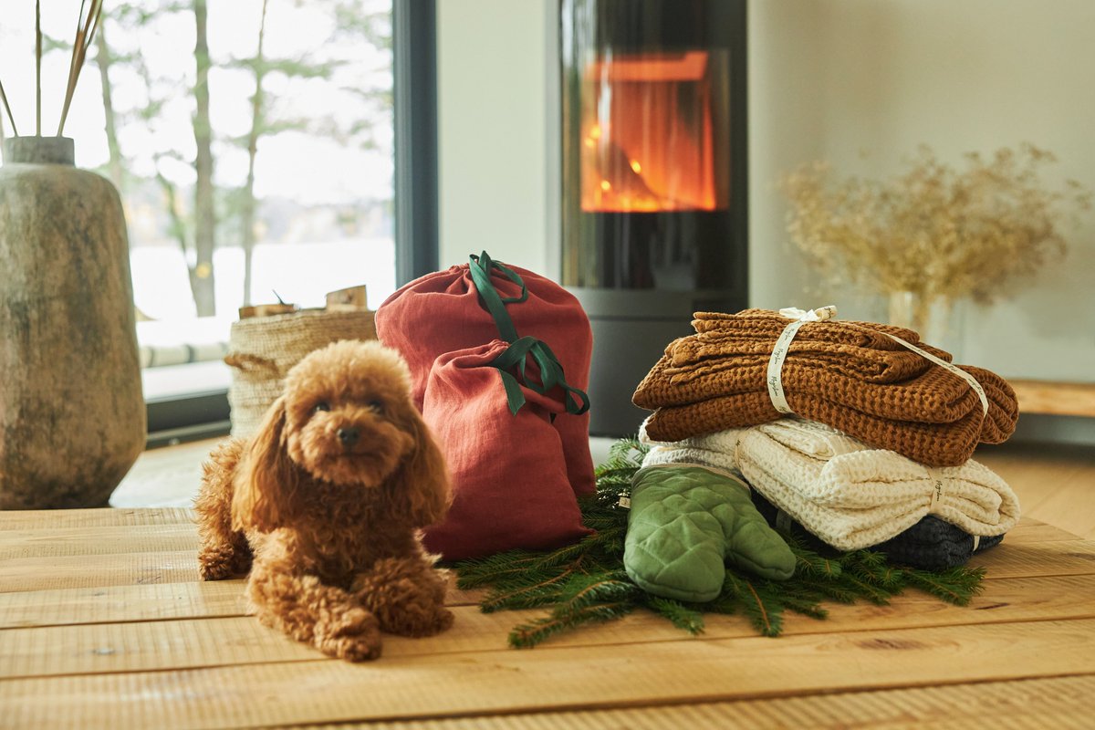 MagicLinen's tweet photo. Make Holiday Magic!
With the holidays just around the corner, we’ve wrapped up something special to help you make this season magical. Check out our holiday gift-guide to find the perfect present to charm everyone on your list!
https://t.co/gH3fjLm3er https://t.co/E9gFfdibx3