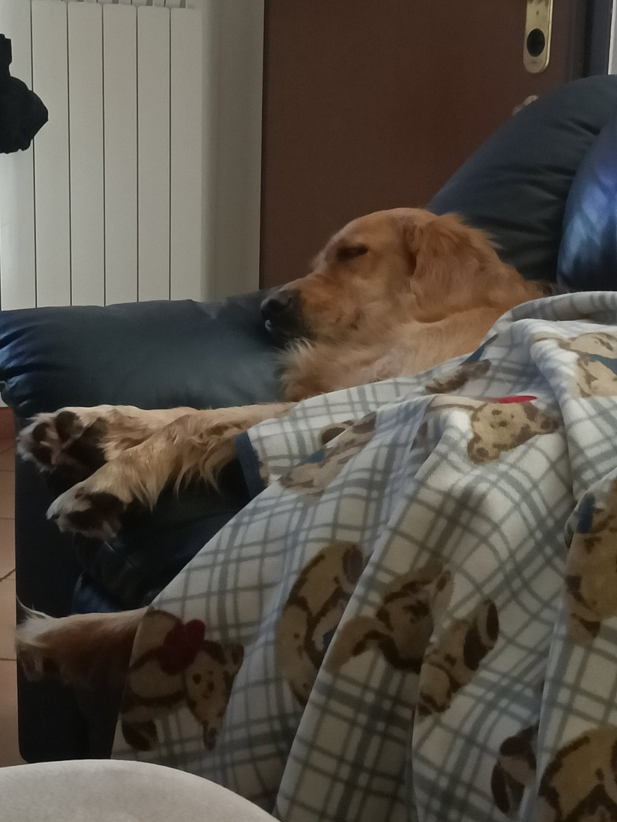 luca (@luca76_luca) on Twitter photo 